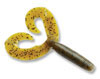 Double-Tail Grub