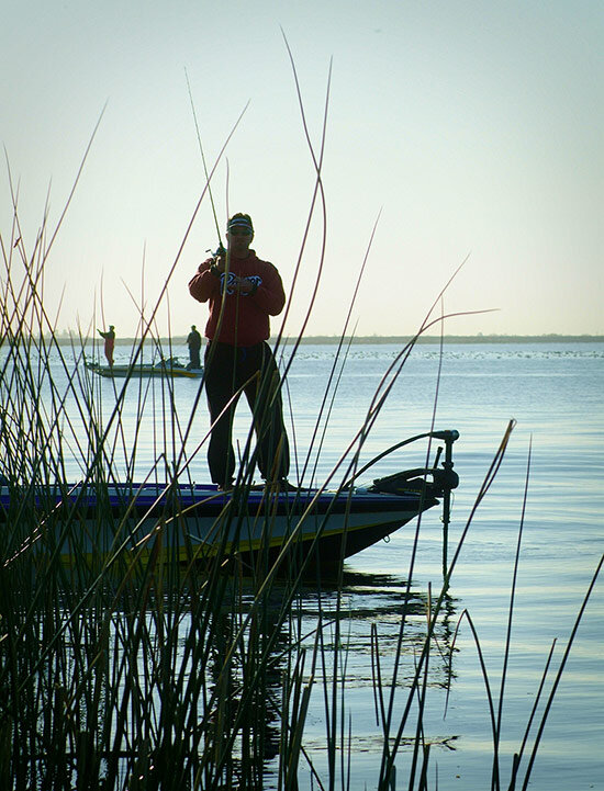 Rods &amp; Rigs - Pitching Precision - Baits.com