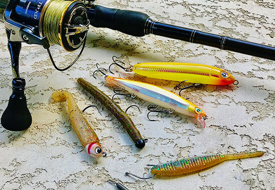 camera fishing lure CanFish Fishing CamX Fishing Finders Camera,Lure Action Camera HD 1080P  &136