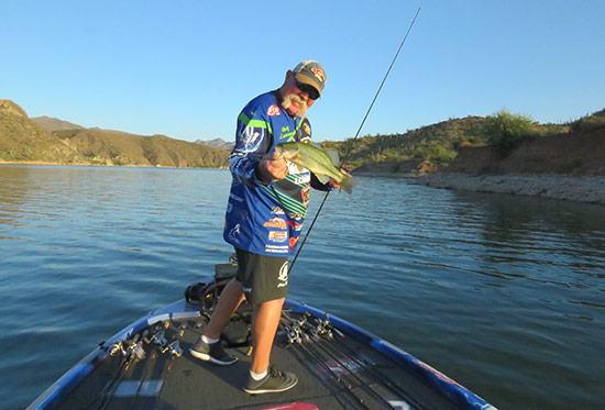insideline-summerbass04.jpg
