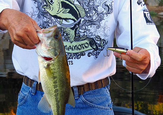 Pegging Your Weight Is NOT Always Best // Bass Fishing Tips 