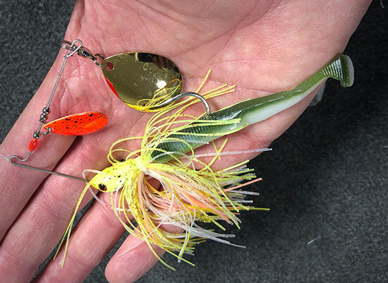 Aquatic biologist - These are Rick Clunn Trickster spinnerbaits. These are  the best blades I've ever seen. Hard thumping, major displacement this is a  slow rollers dream. The trailer is the Fat