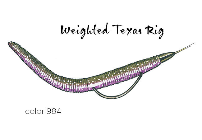 My TOP 5 Soft Plastics for a Weighted Texas Rig (Bass Fishing for  Beginners) 