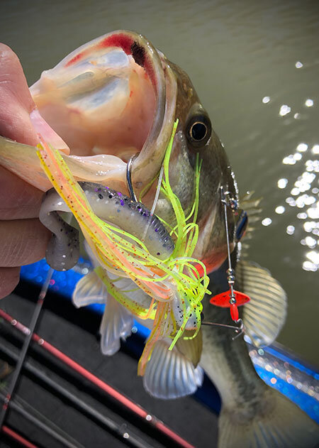 Spinnerbait Trailers for Attracting Pre-Spawn Bass 