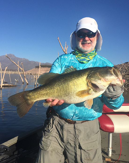 Senkos and Suspended Bass – the El Salto Connection 