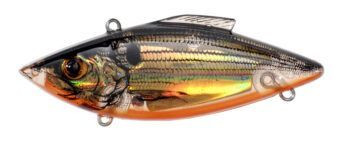 L.Baits scented lures review - Off the Scale magazine
