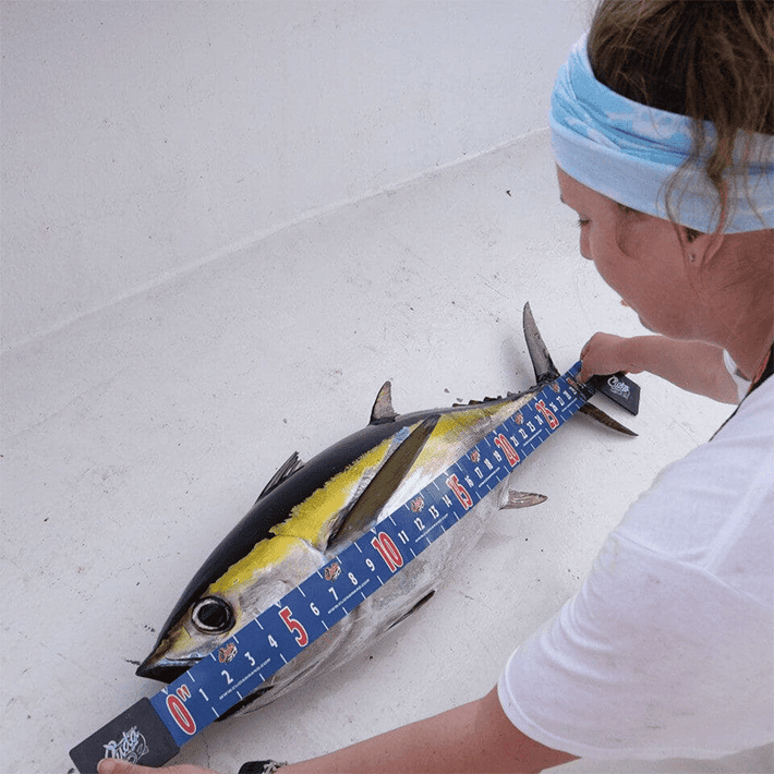 CUDA Fishing Accessorie Fish Measure Tape / Inches