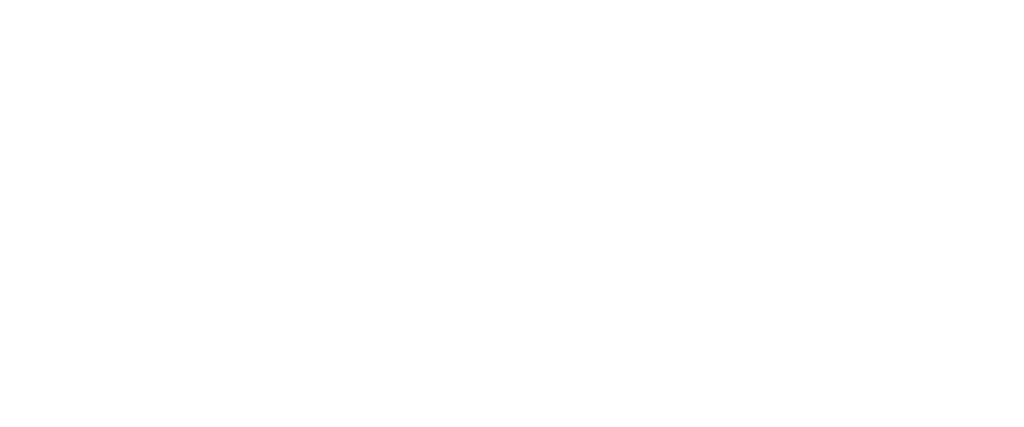 Bucca Barnd Logo White.png